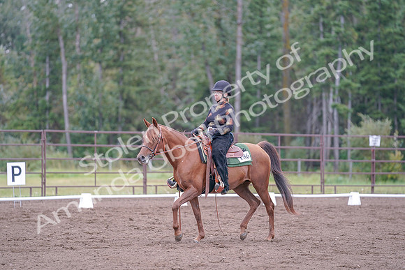2019 Morgan Horse Show - Aug 30, 2019 - 00230