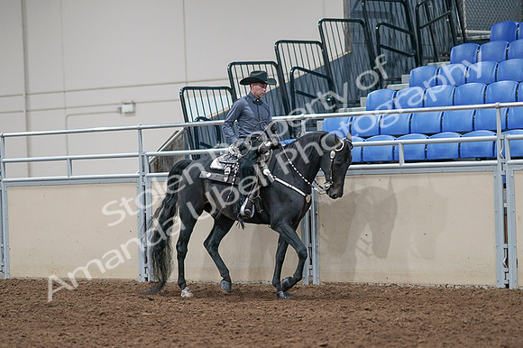 2020 - AB Morgan Horse - Fri, Sept 04 - 08464