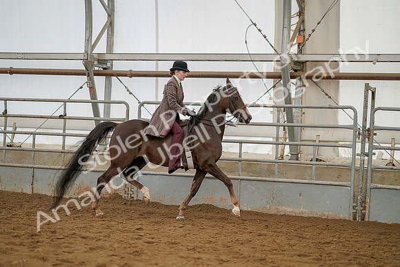 July 20, 2019 - 04541