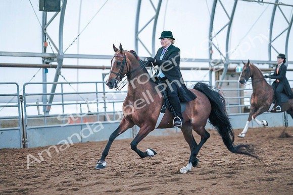 July 20, 2019 - 24022