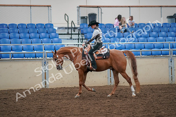 2019 Morgan Horse Show - Aug 30, 2019 - 16732