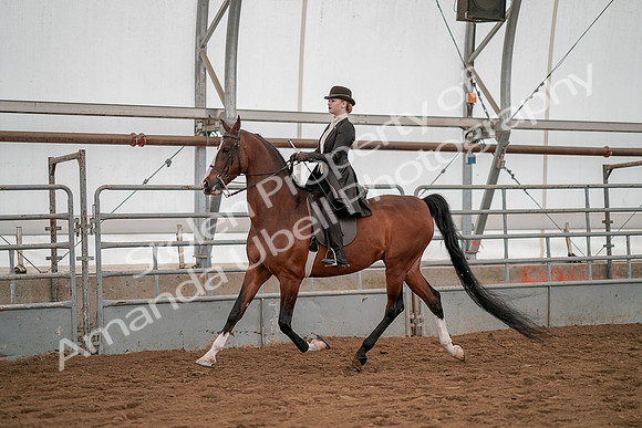 July 19, 2019 - 4227