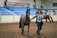 2020 - AB Morgan Horse - Sat, Sept 05 - 00247