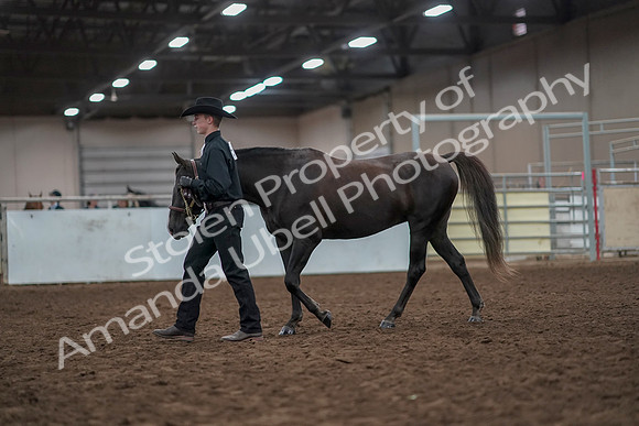 2019 Morgan Horse Show - Aug 31, 2019 - 02031