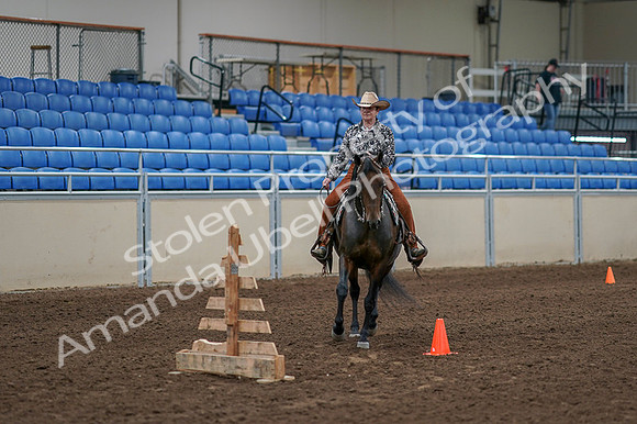 2020 - AB Morgan Horse - Fri, Sept 04 - 00079