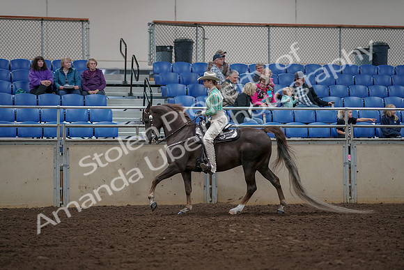 2019 Morgan Horse Show - Aug 30, 2019 - 26071