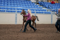 2020 - AB Morgan Horse - Sat, Sept 05 - 00471