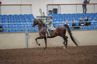 2019 Morgan Horse Show - Aug 31, 2019 - 07671