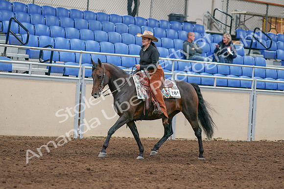 2020 - AB Morgan Horse - Sun, Sept 06 - 01597
