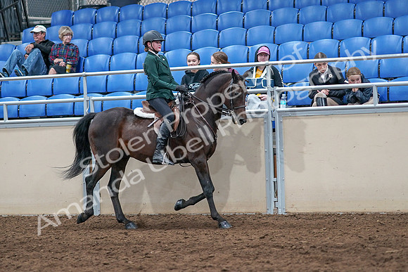2020 - AB Morgan Horse - Sat, Sept 05 - 05157