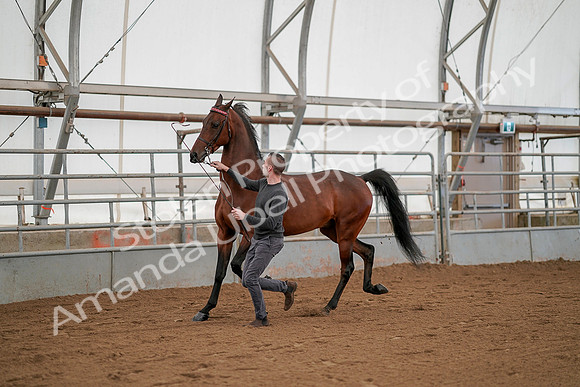 July 19, 2019 - 1170