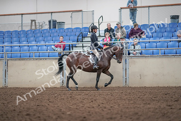 2019 Morgan Horse Show - Aug 31, 2019 - 19686
