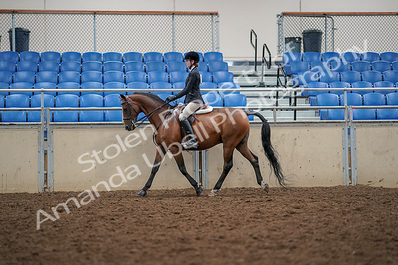 2019 Morgan Horse Show - Aug 30, 2019 - 23146