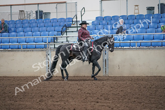 2019 Morgan Horse Show - Aug 31, 2019 - 10745