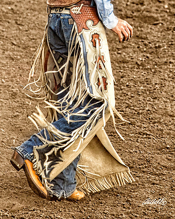 rodeo - 004