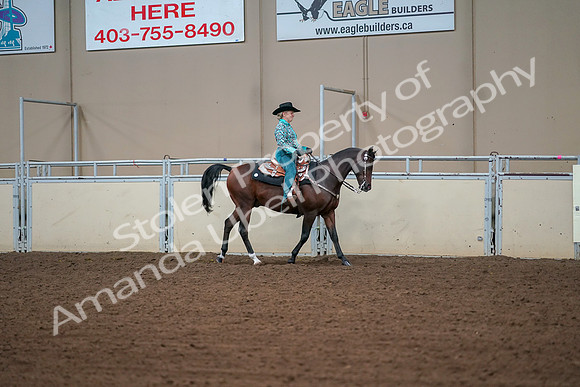 2019 Morgan Horse Show - Aug 30, 2019 - 17044