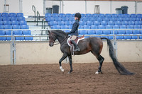 2019 Morgan Horse Show - Sept 01, 2019 - 05478