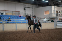 Class 080 - Morgan In Hand Supreme Championship