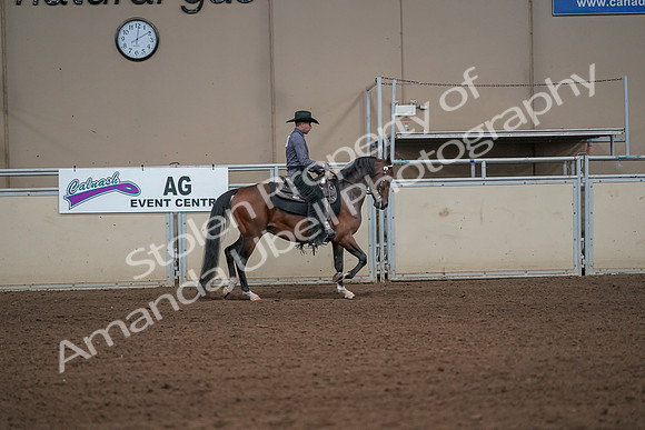 2019 Morgan Horse Show - Aug 31, 2019 - 06188