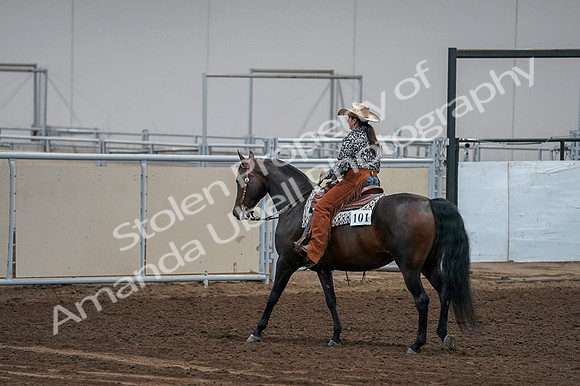 2020 - AB Morgan Horse - Fri, Sept 04 - 00450