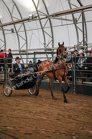 July 19, 2019 - 6925