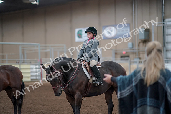 2019 Morgan Horse Show - Aug 31, 2019 - 19703