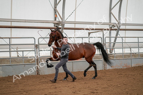July 19, 2019 - 1179