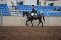 2019 Morgan Horse Show - Sept 01, 2019 - 09016