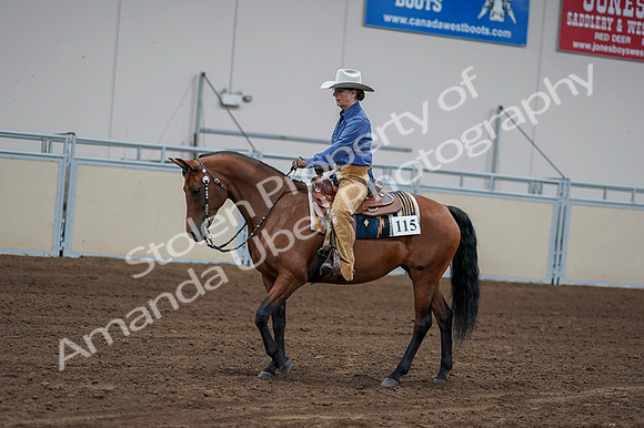 2020 - AB Morgan Horse - Fri, Sept 04 - 00156