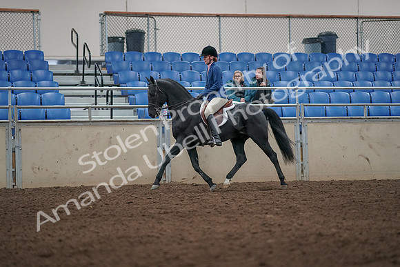 2019 Morgan Horse Show - Aug 31, 2019 - 07275