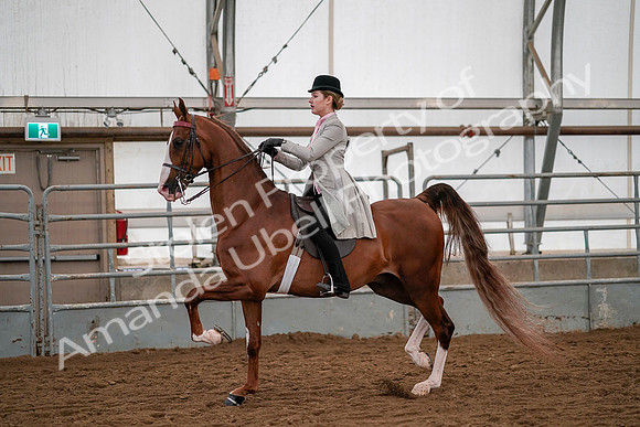 July 19, 2019 - 10437