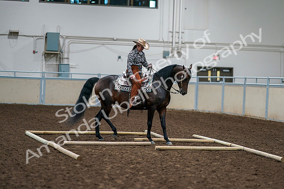2020 - AB Morgan Horse - Fri, Sept 04 - 00370