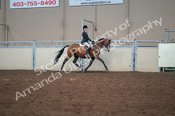 2019 Morgan Horse Show - Aug 30, 2019 - 20903