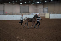 2019 Morgan Horse Show - Aug 31, 2019 - 00189
