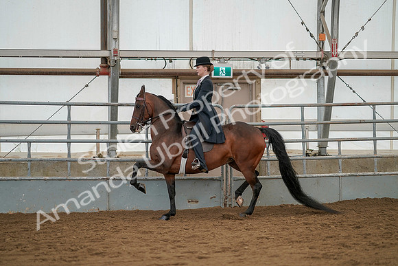 July 20, 2019 - 04278