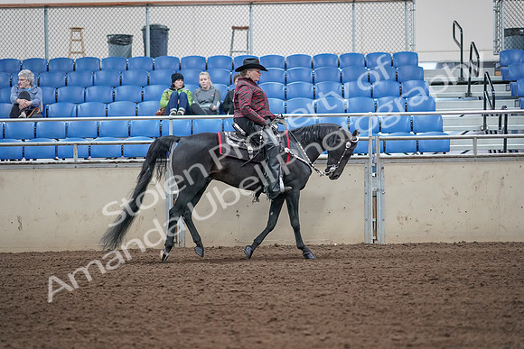 2019 Morgan Horse Show - Aug 31, 2019 - 10685