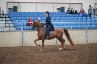 2019 Morgan Horse Show - Aug 31, 2019 - 16906