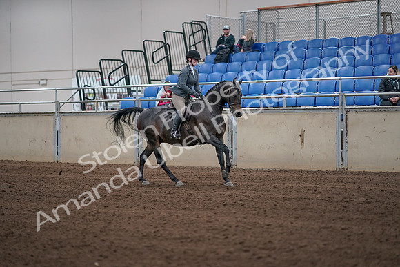 2019 Morgan Horse Show - Sept 01, 2019 - 11087