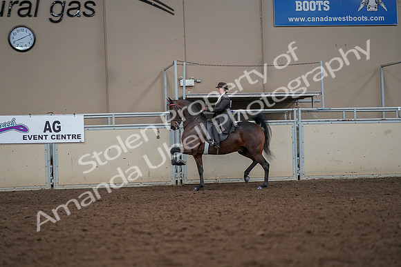 2019 Morgan Horse Show - Aug 30, 2019 - 27891