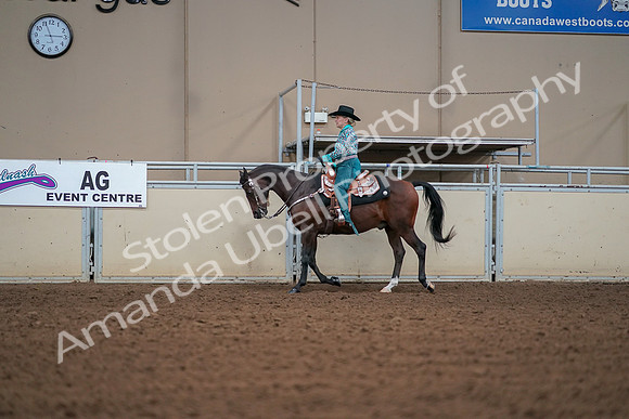 2019 Morgan Horse Show - Aug 30, 2019 - 16814