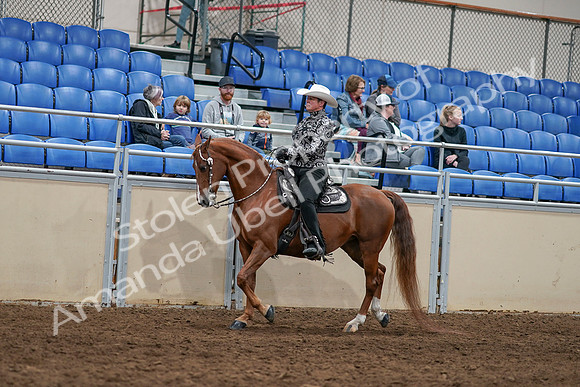 2020 - AB Morgan Horse - Sun, Sept 06 - 07501
