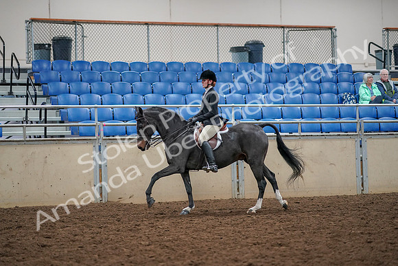 2019 Morgan Horse Show - Aug 30, 2019 - 23414