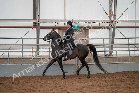 July 20, 2019 - 04212