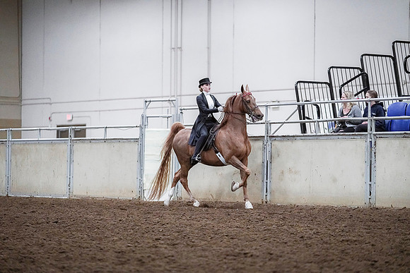 Spring Fling - Saturday - April 20, 2019  -  04327