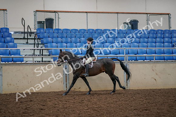 2019 Morgan Horse Show - Aug 30, 2019 - 23447