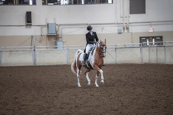 Spring Fling - Saturday - April 20, 2019  -  03717