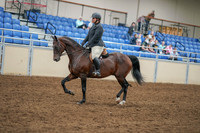 2020 - AB Morgan Horse - Sat, Sept 05 - 09309