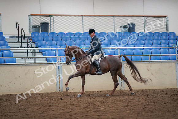 2019 Morgan Horse Show - Aug 30, 2019 - 17423
