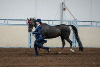 2020 - AB Morgan Horse - Fri, Sept 04 - 00678