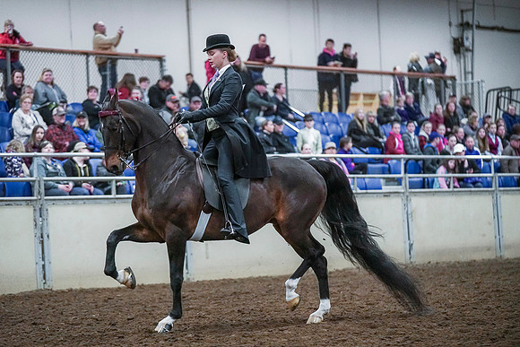 Spring Fling - Saturday - April 20, 2019  -  00435